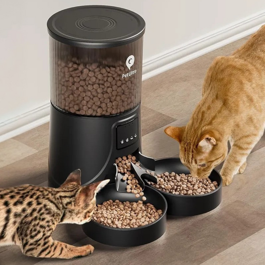 Better Life Mast Automatic Feeder / Black, 5 Liters
