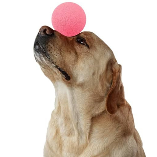 Godog Silent Squeeze Ball / Green - Red