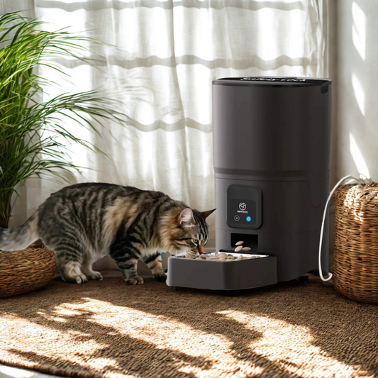 Papifeed Smart Pet Feeder / Black