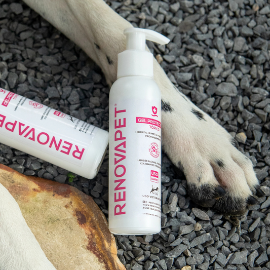 Renovapet topical protector x 60 gr