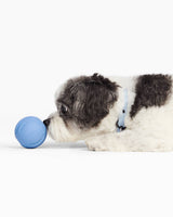 Smooth Ball Toys active/ Sky Blue/ XS