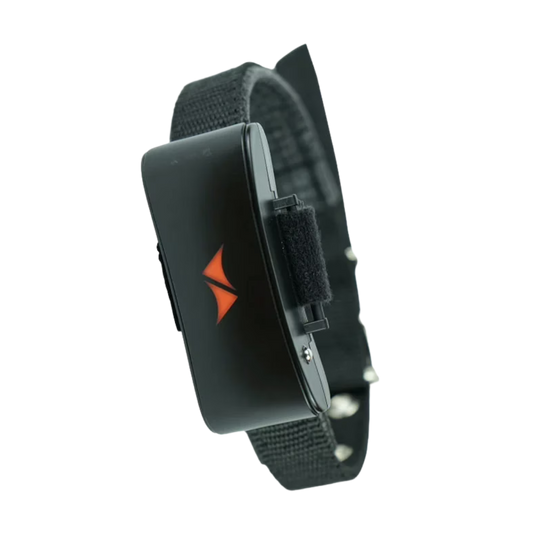 4G GPS Tracker for Dogs