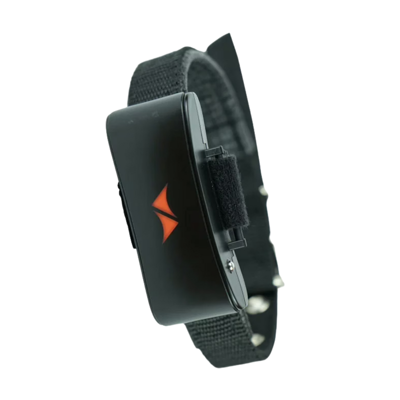 4G GPS Tracker for Dogs