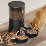 Better Life Mast Automatic Feeder / Black, 5 Liters