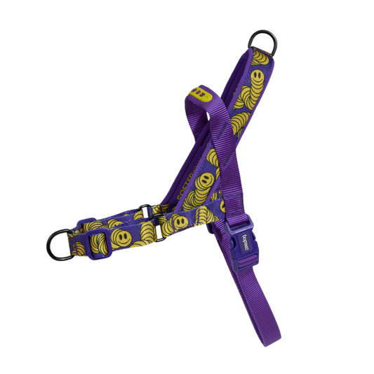 LORDS OF ZEE.TOWN ZMILEY SOFTER WALK HARNESS MEDIUM
