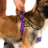 LORDS OF ZEE.TOWN ZMILEY SOFTER WALK HARNESS MEDIUM