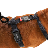 BLACK PANTHER H-HARNESS MEDIUM