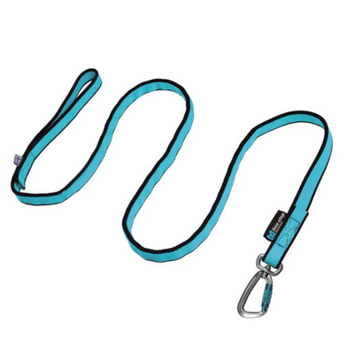 Bungee leash, unisex, aqua, 2m, single