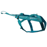 Freemotion Harness 5.0 – Unisex – Teal – Size 6