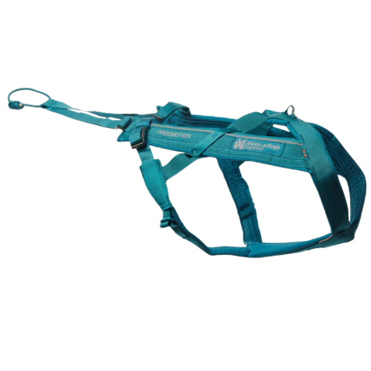 Freemotion Harness 5.0 – Unisex – Teal – Size 6