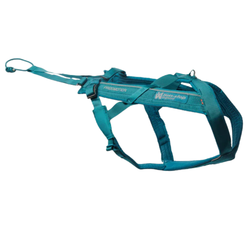 Freemotion Harness 5.0 – Unisex – Teal – Size 6