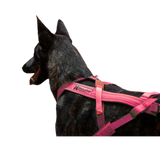 Freemotion Harness 5.0 – Unisex – Pink/Gray – Size 3