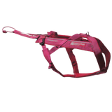 Freemotion Harness 5.0 – Unisex – Pink/Grey – Size 5