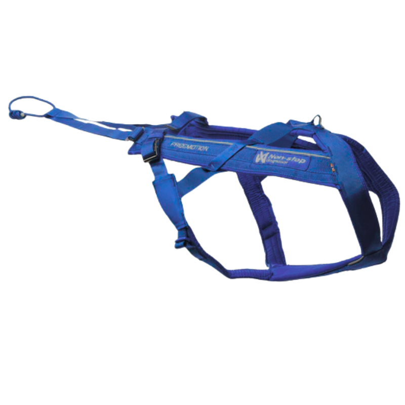 Freemotion Harness 5.0 – Unisex – Blue/Gray – Size 3