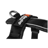 Line Harness 5.0 – Unisex – Blue – Size 8
