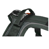Ramble Harness – Unisex – Green – Size M