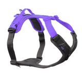 Ramble Harness, Unisex – Purple – Size XS