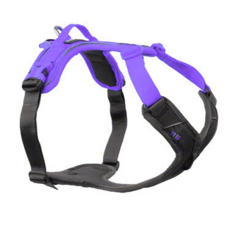 Ramble Harness, Unisex – Purple – Size XS