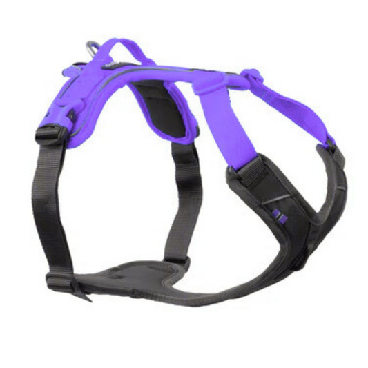 Ramble Harness, Unisex – Purple – Size XS