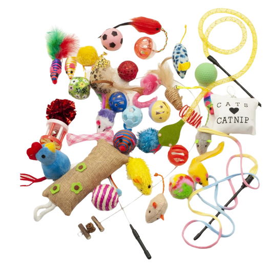 20-piece box of cat toys / Fashion Talk