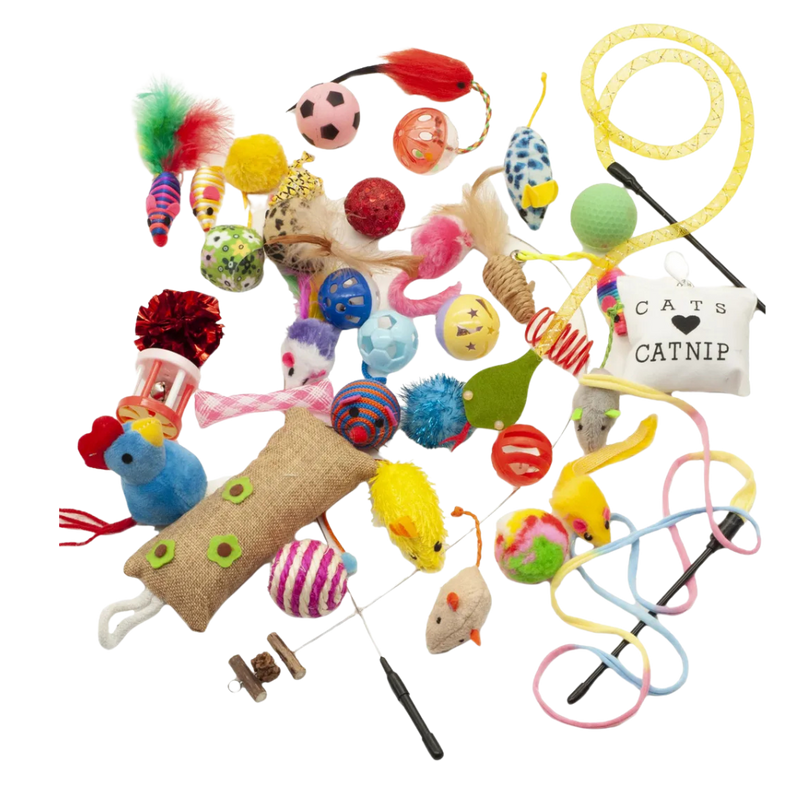 20-piece box of cat toys / Fashion Talk