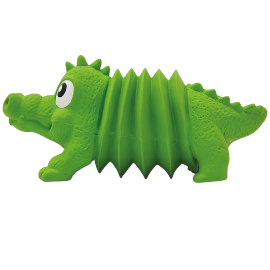 Noisy Crocodile Accordionz Outward Hound / Green