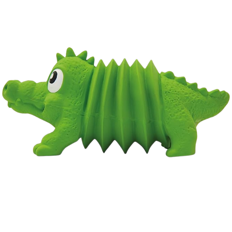 Noisy Crocodile Accordionz Outward Hound / Green