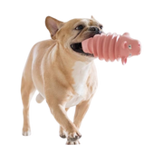 Chewable toy that cleans teeth, Toys active/ Multicolor