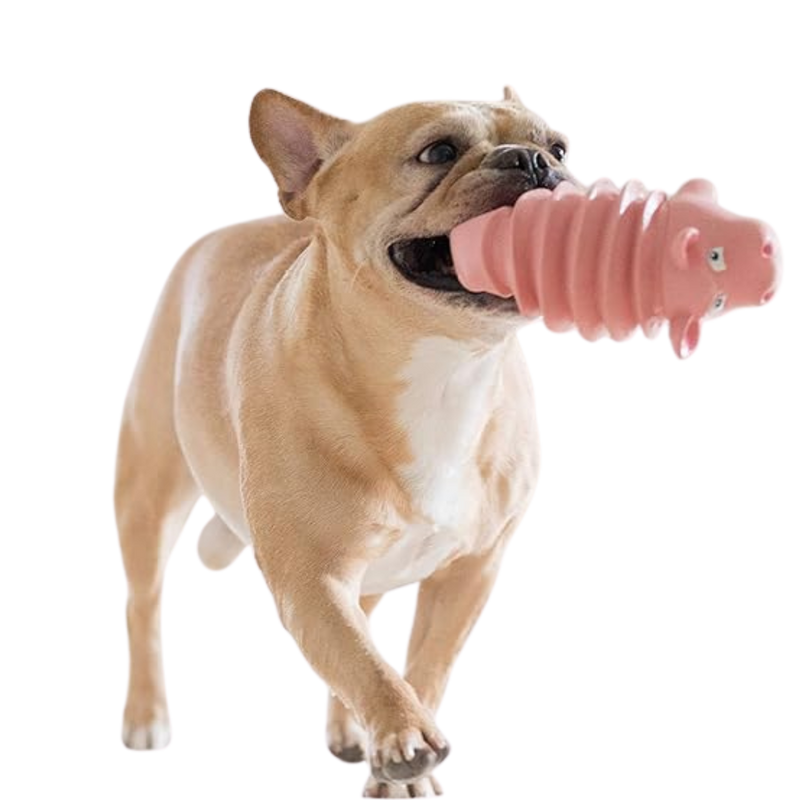 Chewable toy that cleans teeth, Toys active/ Multicolor