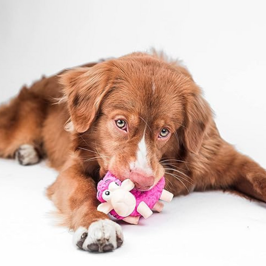 Noisy Sheep Tootiez Outward Hound / Pink