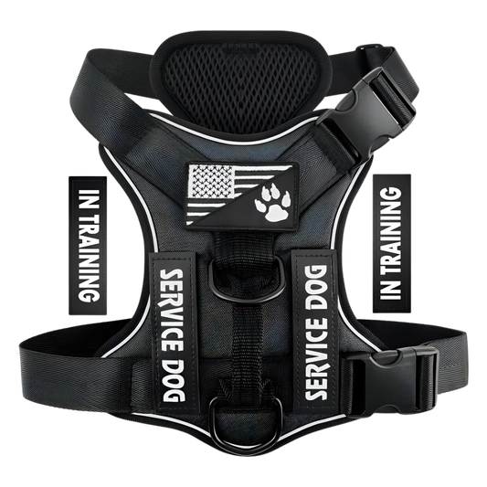 Demigreat dog harness size S/ Black