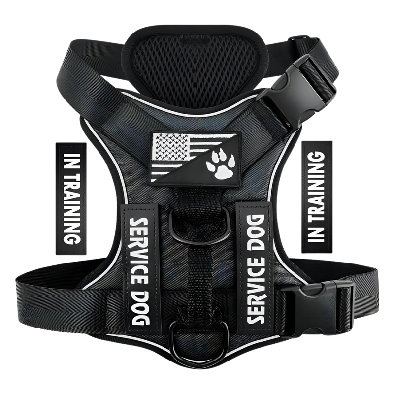 Demigreat dog harness size S/ Black