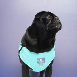 Paw Paws Bib Size S / Bubble Gum Design
