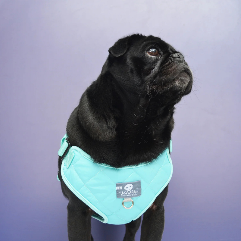Paw Paws Bib Size S / Bubble Gum Design