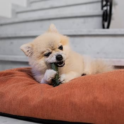 Garden Bites veggie friends S-6cm-18pcs