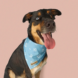 Paw Paws Pride Scarf Size L / Blue