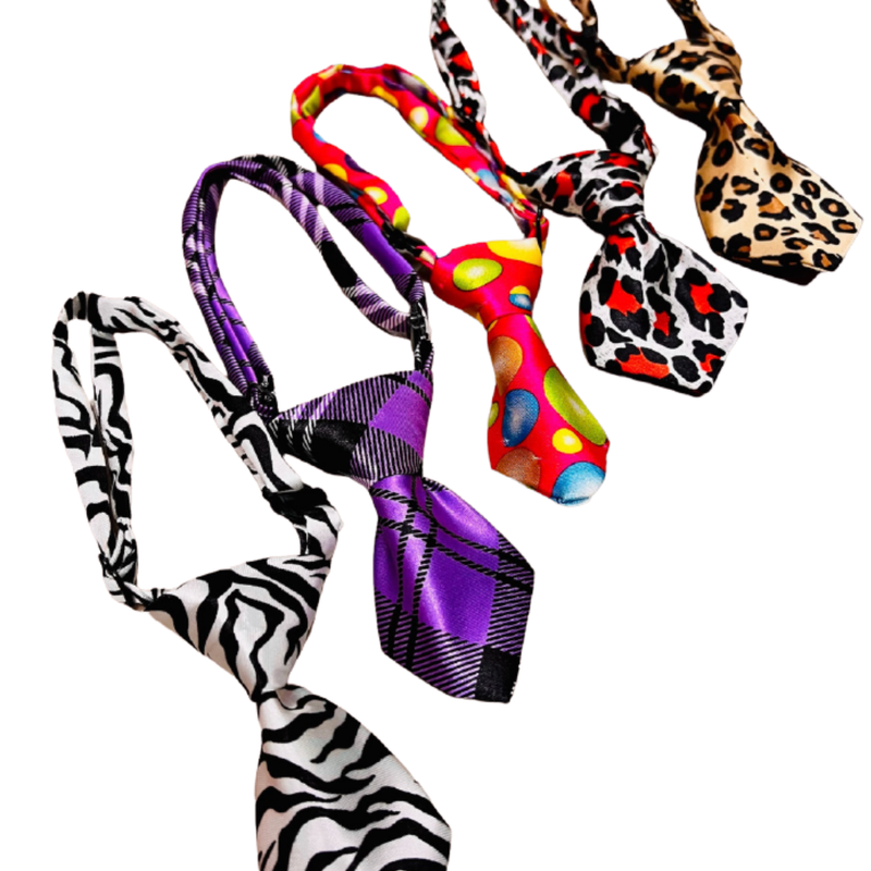Paw Paws Leash Size L / Tie Design