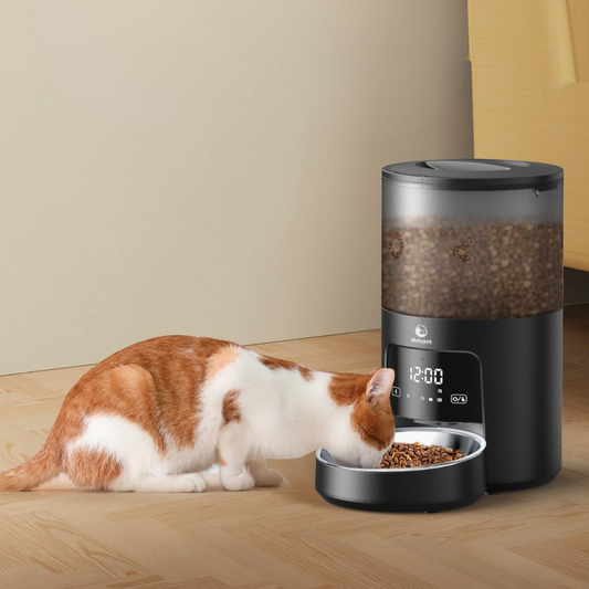 Molypet Automatic Pet Feeder / Black