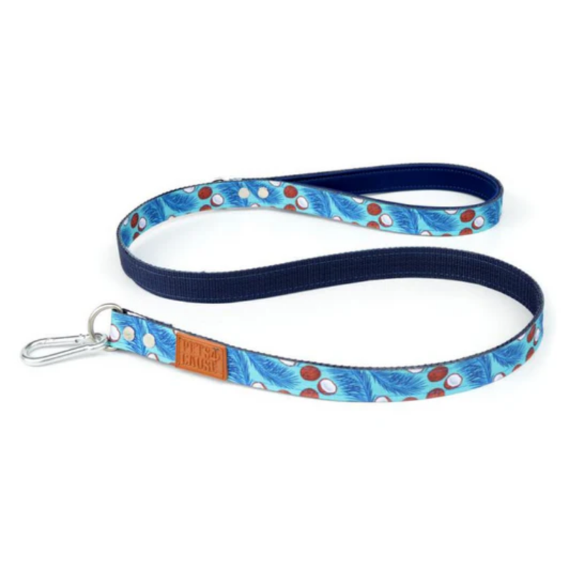 Paw Paws Leash Size S / Pride Design Blue