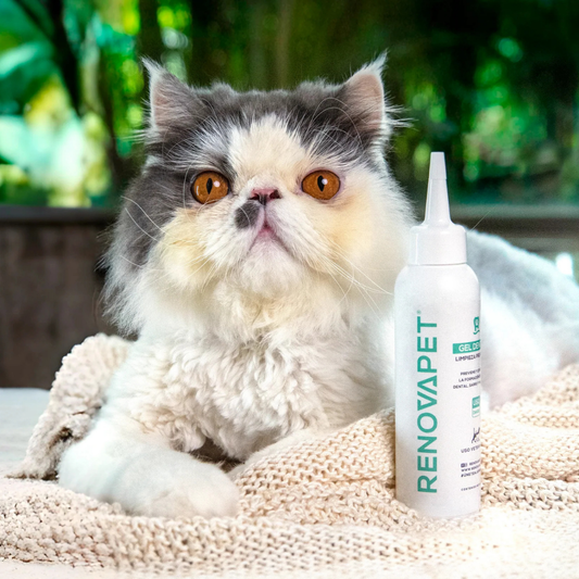 Renovapet dental gel x 60 gr