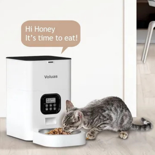 Voluas Automatic Feeder / Grey with white