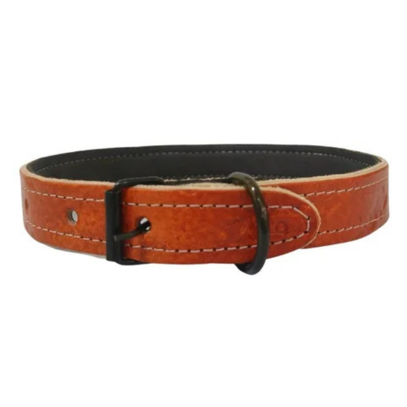 Paw Paws Collar Size M / Citrus Polka Dot Design Brown