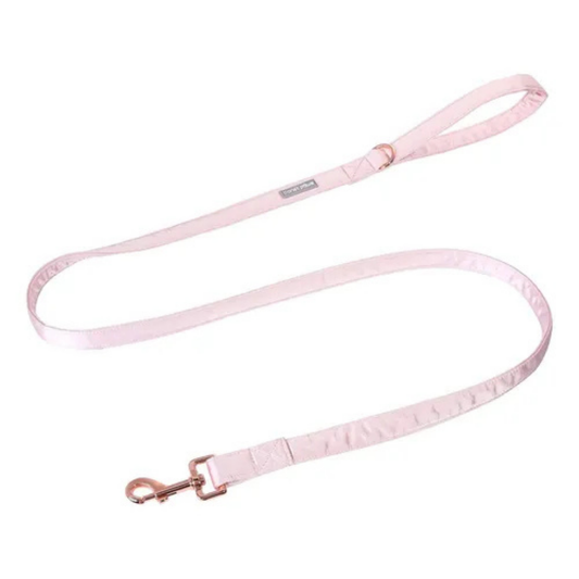 Paw Paws Leash Size M / Pink Pride Design