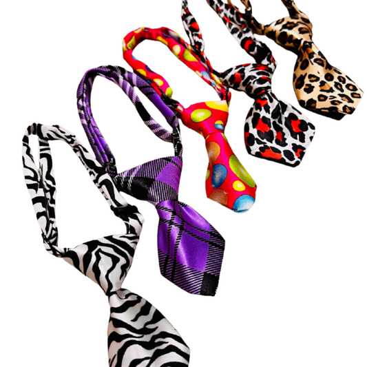 Paw Paws Leash Size S / Tie Design