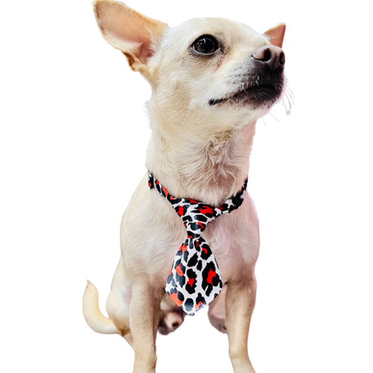 Paw Paws Leash Size L / Tie Design