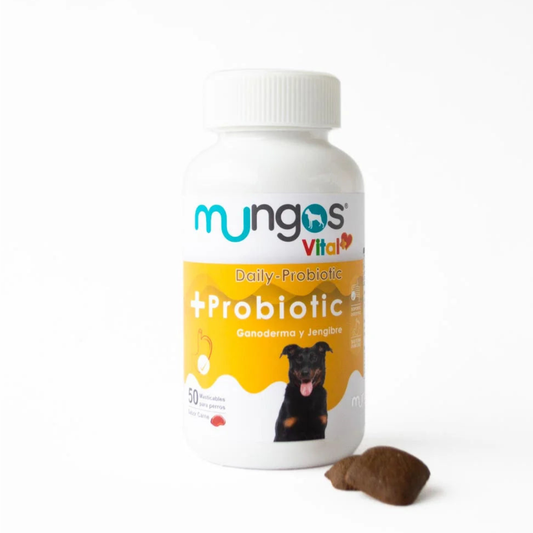 Mungos vital + probiotic x 50 units