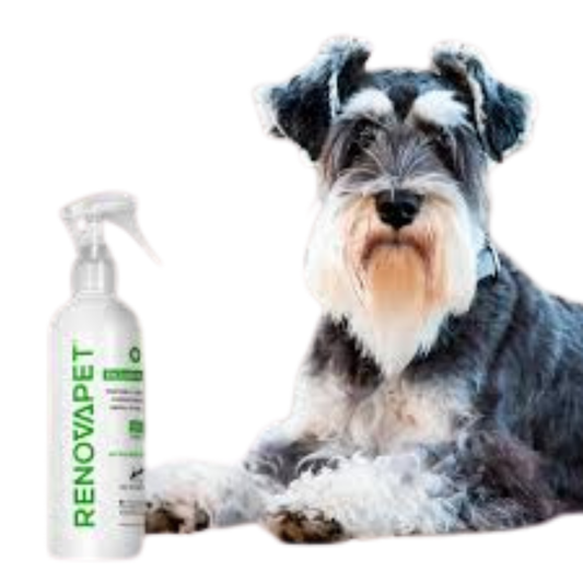 Renovapet mouthwash x 60 ml