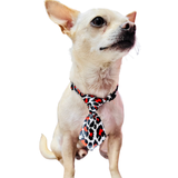 Paw Paws Leash Size S / Tie Design