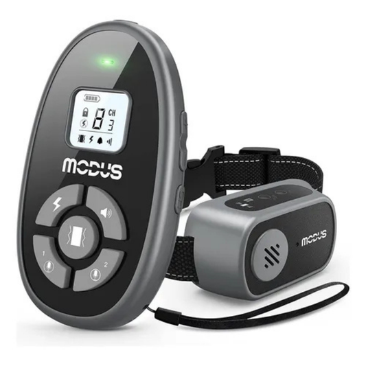 Modus Smart Bark Control Collar