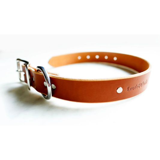 Paw Paws Collar Size M / Retro Design Brown